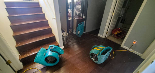 Best Local water damage restoration  in Sloan, NY
