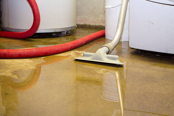 Best Water damage contractors near me  in Sloan, NY