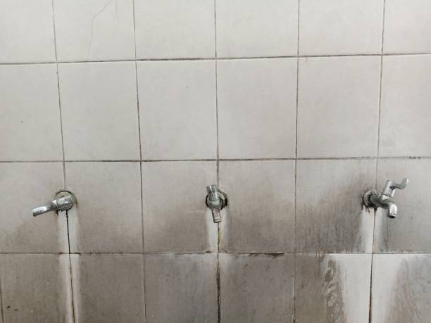 Best Water damage restoration specialists  in Sloan, NY