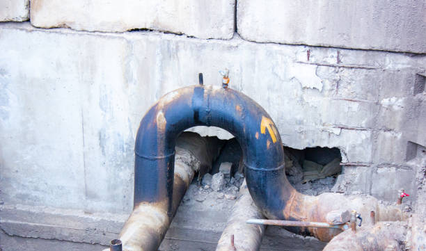 Best Professional water damage repair  in Sloan, NY